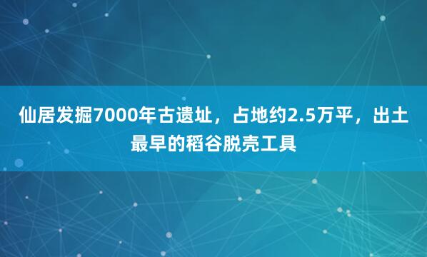 仙居发掘7000年古遗址,占地约2.5万平,出土最早的稻谷脱壳工具