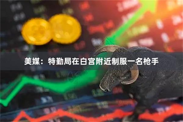 美媒：特勤局在白宫附近制服一名枪手